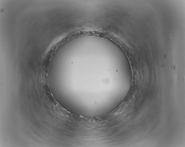 X0000072991207200608111758