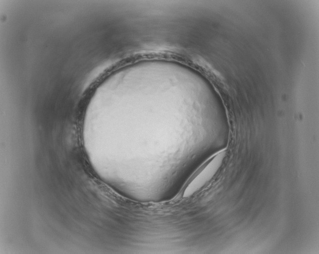 X0000072991208200608111758