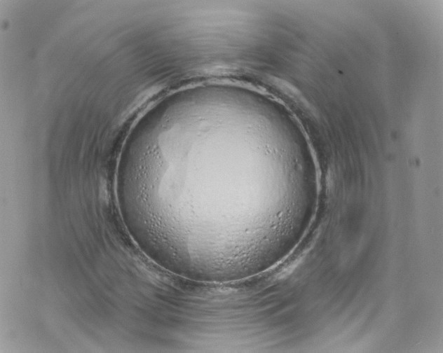 X0000072991209200608111758