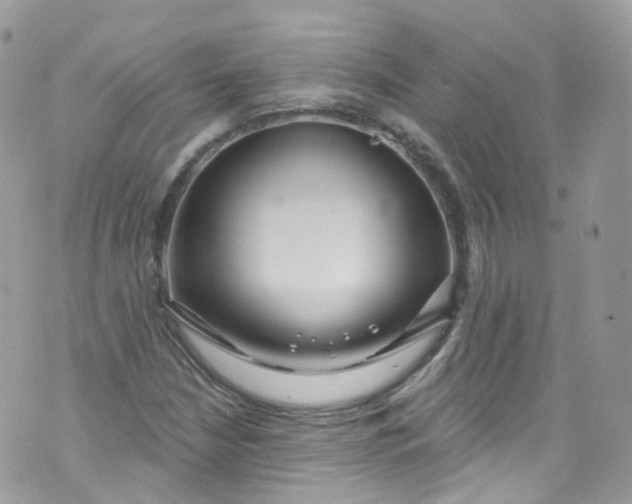 X0000072991210200608111758