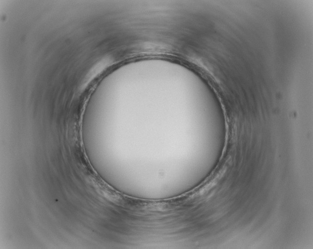 X0000072991211200608111758