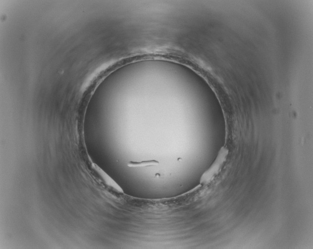 X0000072991214200608111758