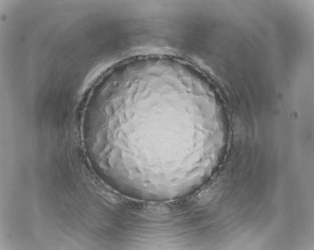 X0000072991215200608111758