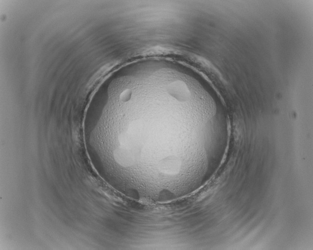 X0000072991217200608111758