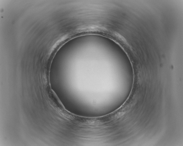 X0000072991218200608111758