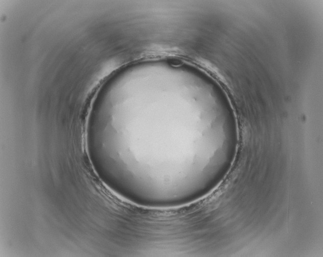 X0000072991219200608111758