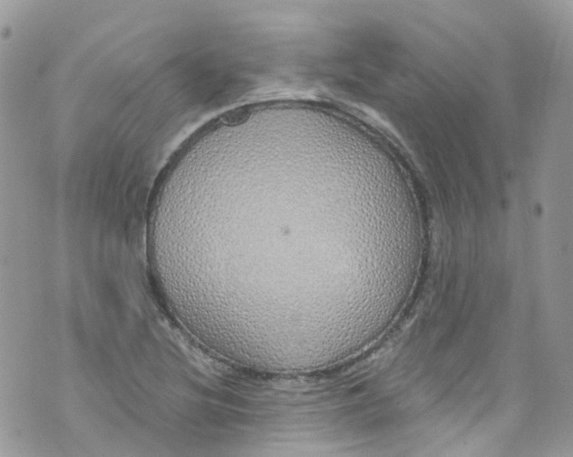 X0000072991220200608111758