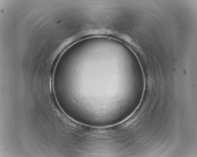 X0000072991221200608111758