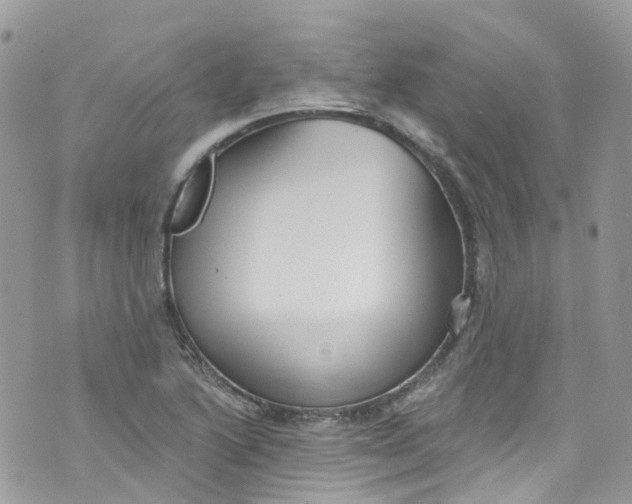 X0000072991222200608111758