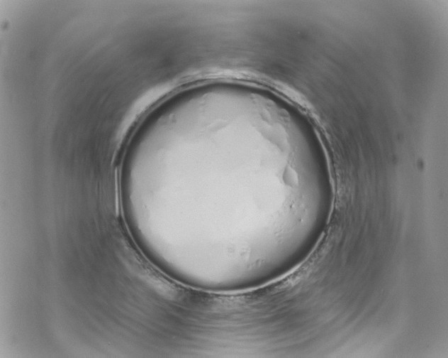 X0000072991223200608111759