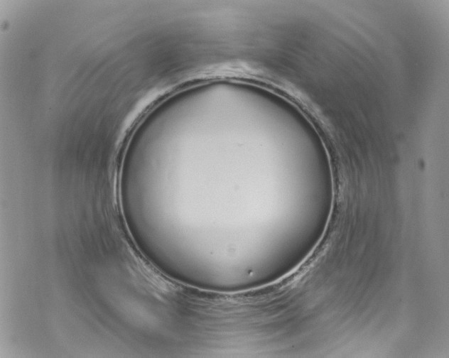 X0000072991224200608111759