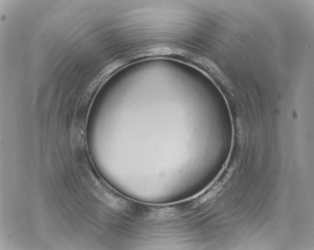 X0000072991225200608111759