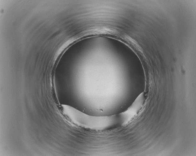 X0000072991226200608111759