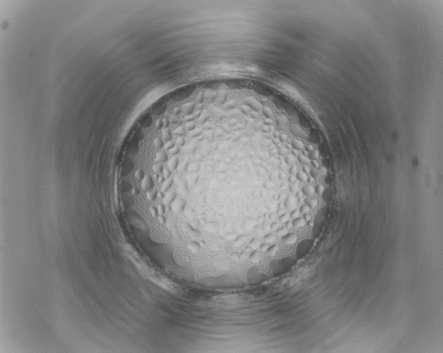 X0000072991227200608111759