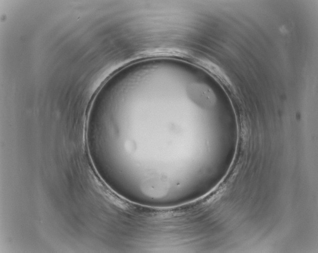 X0000072991228200608111759