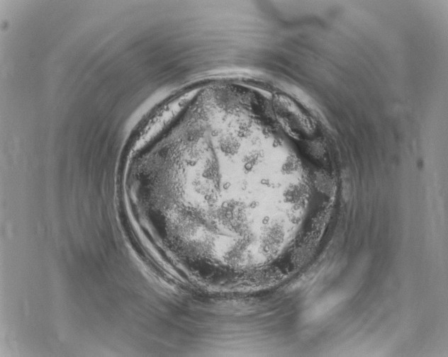 X0000072991229200608111759