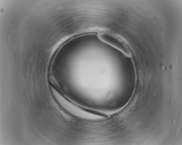 X0000072991230200608111759