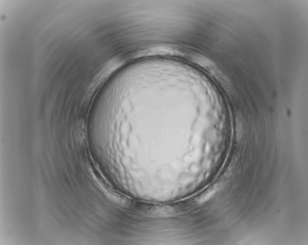 X0000072991233200608111759