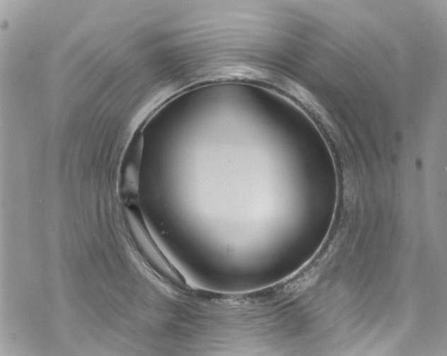 X0000072991234200608111759