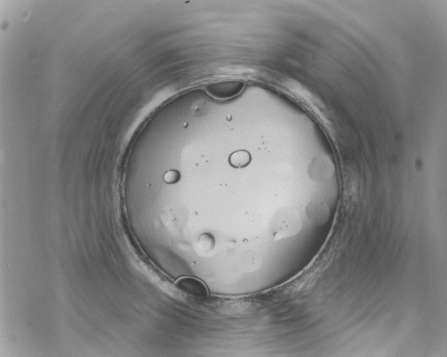 X0000072991235200608111759