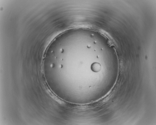 X0000072991236200608111759