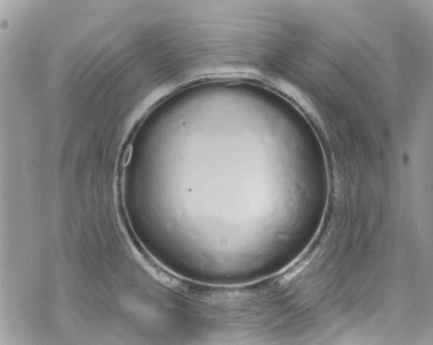 X0000072991237200608111759