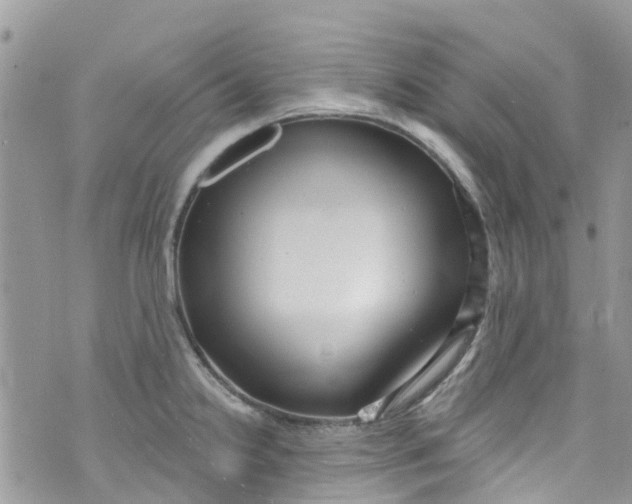 X0000072991238200608111759