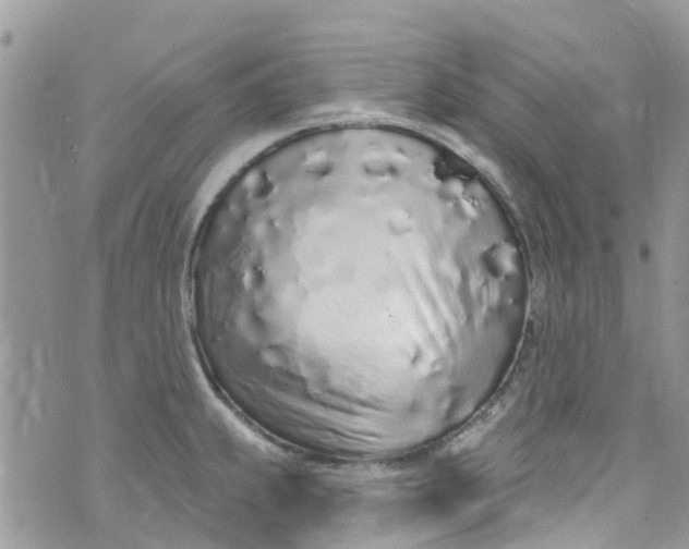 X0000072991239200608111759