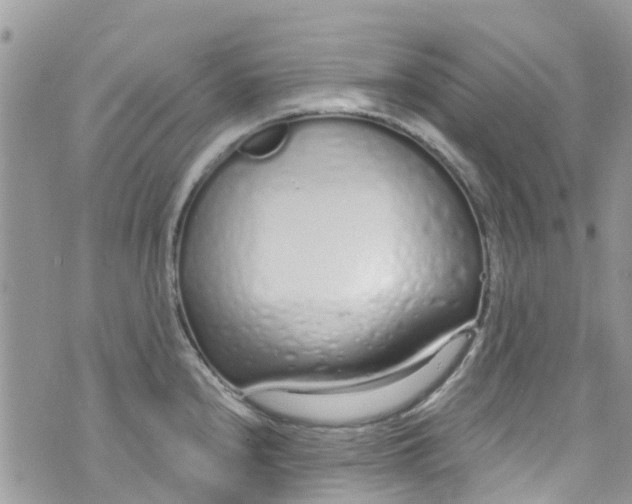 X0000072991240200608111759