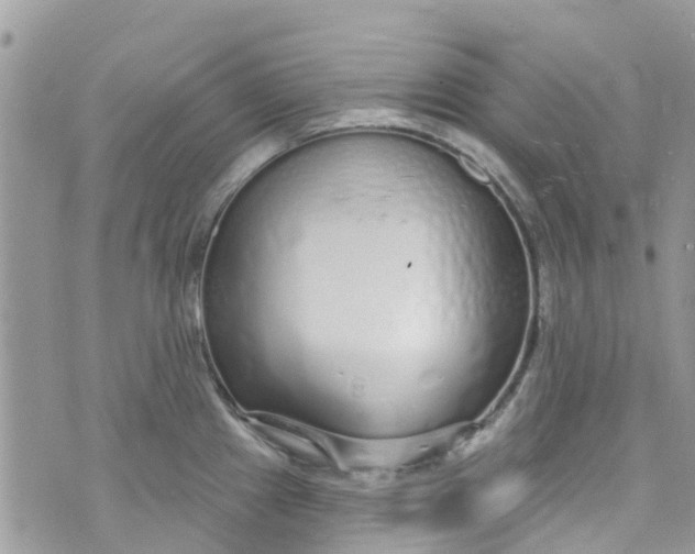 X0000072991241200608111759