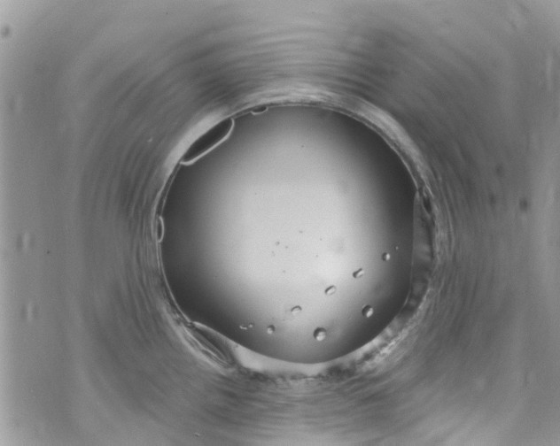 X0000072991242200608111759