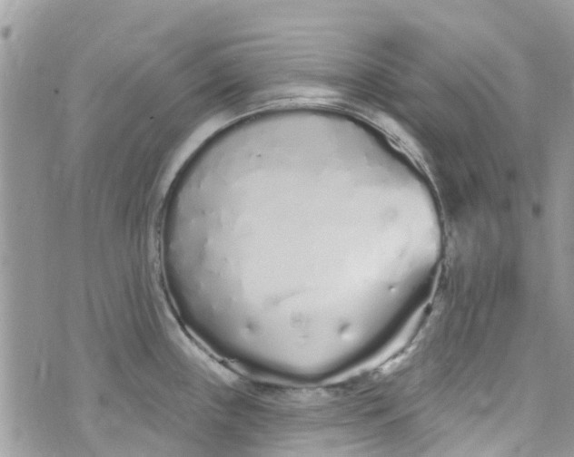 X0000072991243200608111759