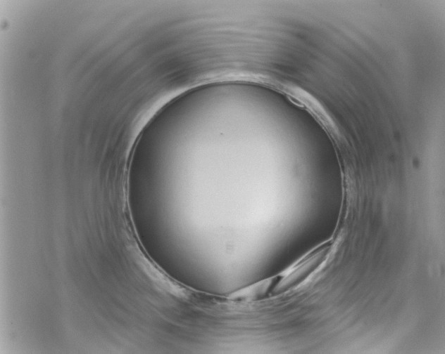 X0000072991244200608111759