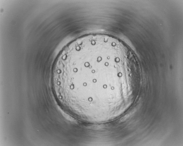 X0000072991245200608111759