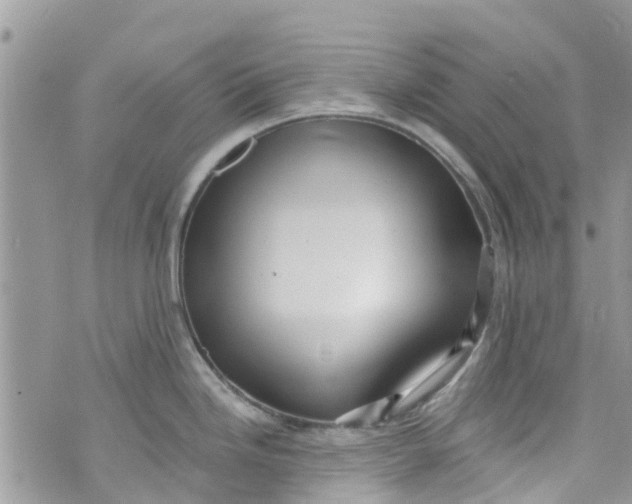 X0000072991246200608111759