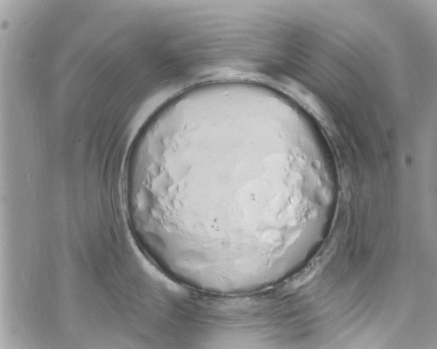 X0000072991247200608111759