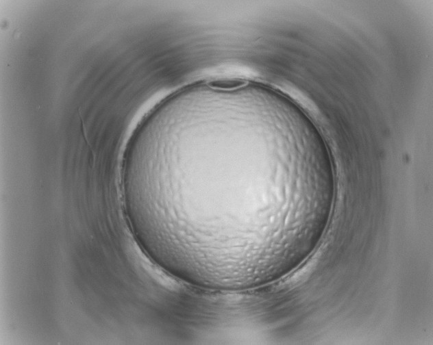 X0000072991248200608111759