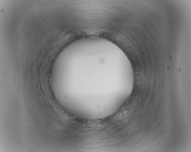 X0000072991249200608111758