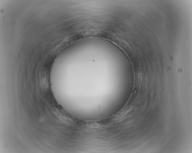 X0000072991250200608111758