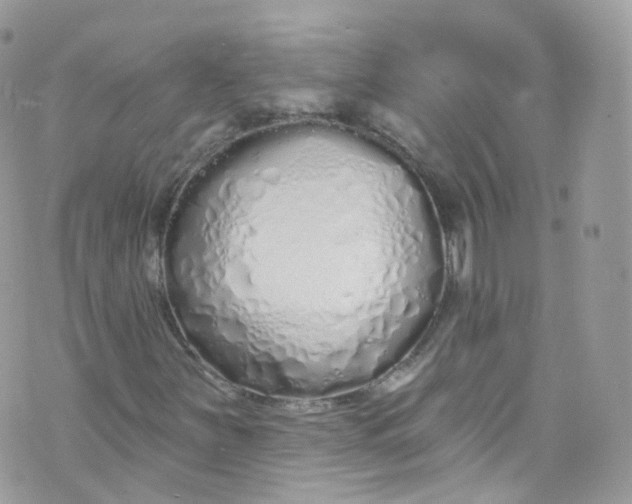 X0000072991251200608111758