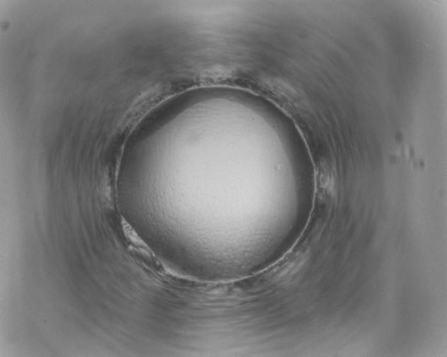 X0000072991252200608111758