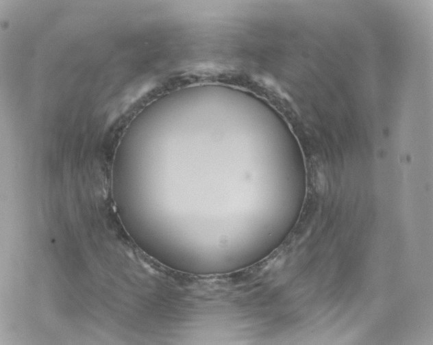 X0000072991253200608111758