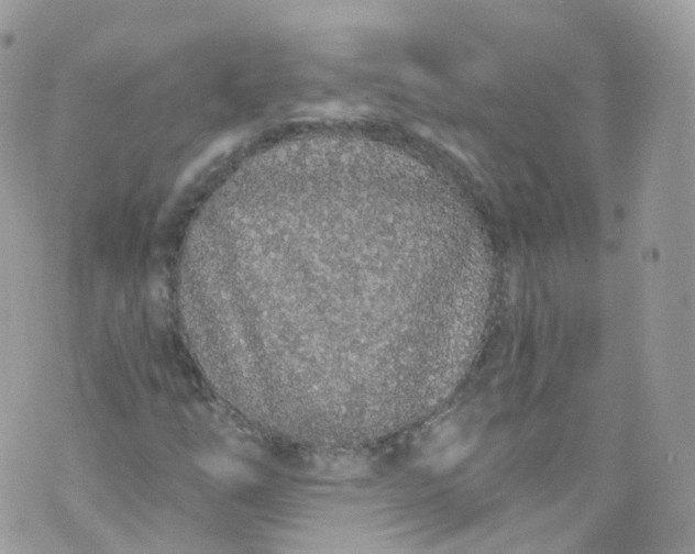 X0000072991254200608111758