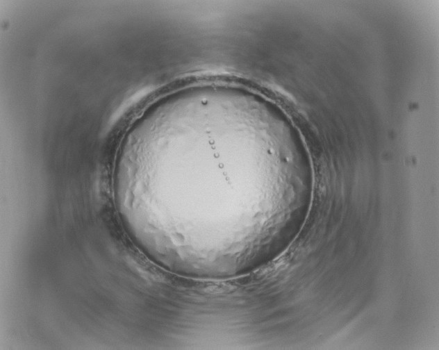 X0000072991255200608111758