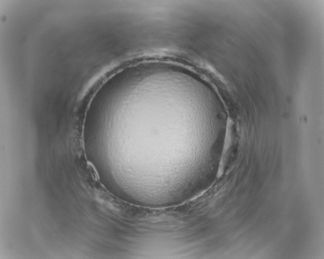 X0000072991256200608111758