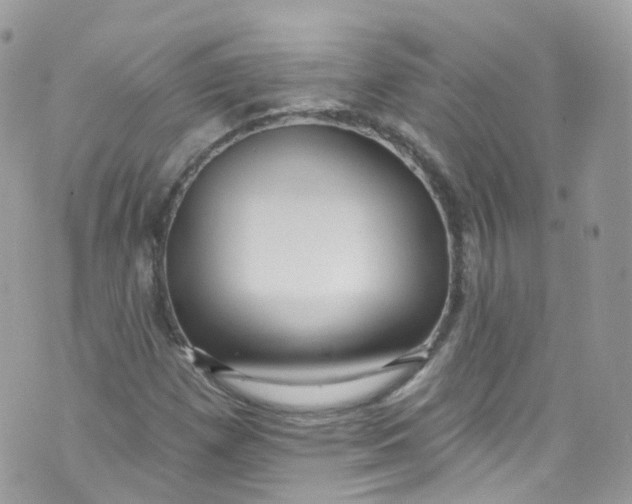 X0000072991257200608111758