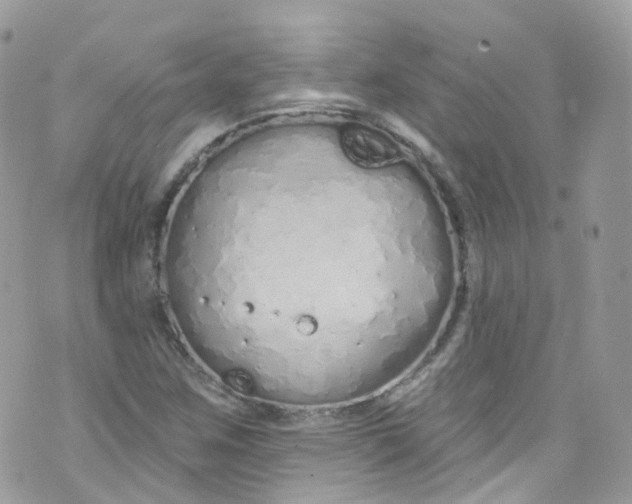 X0000072991259200608111758