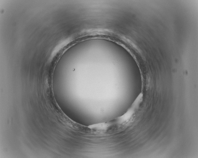 X0000072991261200608111758