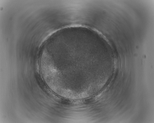 X0000072991262200608111758