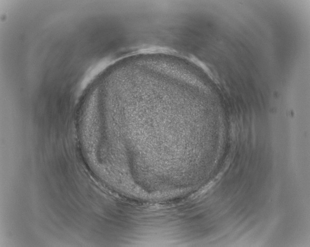 X0000072991263200608111758